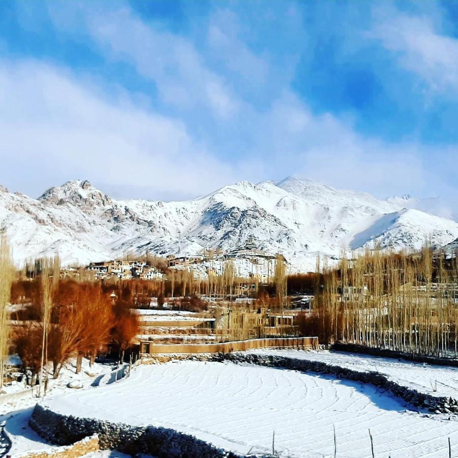 Ladakh Country Inn ليه المظهر الخارجي الصورة