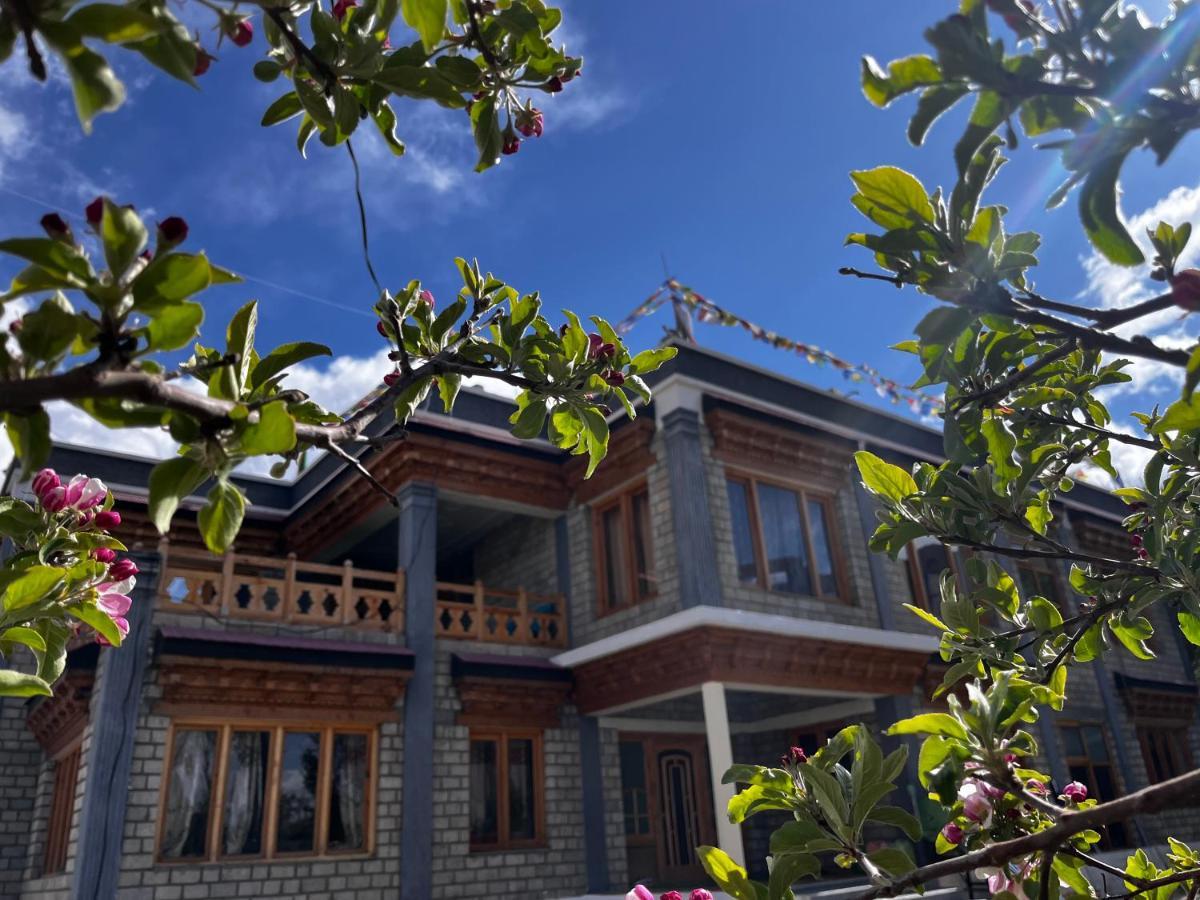 Ladakh Country Inn ليه المظهر الخارجي الصورة